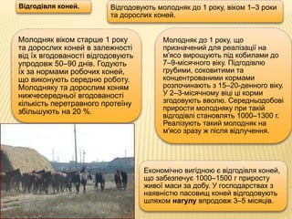Молодняк віком старше 1 року
та дорослих коней в залежності
від їх вгодованості відгодовують
упродовж 50–90 днів. Годують
їх за нормами робочих коней,
що виконують середню роботу.
Молодняку та дорослим коням
нижчесередньої вгодованості
кількість перетравного протеїну
збільшують на 20 %.
Відгодівля коней. Відгодовують молодняк до 1 року, віком 1–3 роки
та дорослих коней.
Молодняк до 1 року, що
призначений для реалізації на
м'ясо вирощують під кобилами до
7–9-місячного віку. Підгодівлю
грубими, соковитими та
концентрованими кормами
розпочинають з 15–20-денного віку.
У 2–3-місячному віці ці корми
згодовують вволю. Середньодобові
прирости молодняку при такій
відгодівлі становлять 1000–1300 г.
Реалізують такий молодняк на
м'ясо зразу ж після відлучення.
Економічно вигідною є відгодівля коней,
що забезпечує 1000–1500 г приросту
живої маси за добу. У господарствах з
наявністю пасовищ коней відгодовують
шляхом нагулу впродовж 3–5 місяців.
 