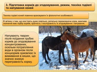 3. Підготовка кормів до згодовування, режим, техніка годівлі
та напування коней
Напувають тварин
після поїдання грубих
кормів до згодовування
концентрованих,
оскільки потрапляння
води в організм після
концкормів зумовлює їх
вимивання в кишки, що
значно знижує
перетравність корму.
Техніка годівлі коней повинна враховувати їх фізіологічні особливості.
В зв'язку з тим, що коні їдять дуже повільно, ретельно пережовуючи корм, важливе
значення має підбір кормів, кратність і послідовність їх згодовування і напування.
 