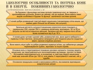1.БІОЛОГІЧНІ ОСОБЛИВОСТІ ТА ПОТРЕБА КОНЕ
Й В ЕНЕРГІЇ, ПОЖИВНИХ І БІОЛОГІЧНО
АКТИВНИХ РЕЧОВИНАХЗа будовою і функціями системи органів травлення коні, як тварини з
однокамерним шлунком, ближчі до свиней, ніж до жуйних. Вони мають певні
видові особливості будови та функції зазначеної системи органів.
У коней добре розвинений товстий відділ кишечнику (насамперед сліпа кишка, що
майже удвічі більша за об’ємом, ніж шлунок).
Загальна місткість шлунка й кишечнику дорослого коня становить у
середньому 250, корови 350 л; довжина кишечнику, відповідно, 30 та 50 м.
Шлунок за місткістю відносно менший. Залежно від віку тварини його об’єм
може коливатися від 6 до 16 л.
У коней дуже чутливі і рухомі губи, розвинутий нюх, вони здатні вибирати з
годівниці їстівні частини, залишаючи непридатні для поїдання рештки (грудочки
землі, насіння отруйних рослин).
Вони мають міцні зуби та добре розвинені жувальні м'язи, що забезпечує швидке
пережовування грубих, зернових та інших кормів.
Основна роль в перетравленні поживних речовин належить тонкому відділу
кишечнику, де перетравлюються легкоперетравні вуглеводи, протеїн та жири.
Клітковина перетравлюється, в основному, в товстому відділі кишечнику,
який має значний об'єм (до 100 л), але рівень її перетравності нижчий, ніж у
худоби.
Основною продукцією коней є виконувана робота, яка вимагає відповідних
енергетичних затрат.
 