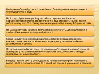 Коні дуже вибагливі до якості питної води. Для напування використовують
тільки доброякісну воду.
На 1 кг сухої речовини раціону потрібно в середньому 3 л води.
Середньодобова потреба дорослого коня у воді становить 45, при важкій
роботі у спеку - до 80 л. Влітку тварин напувають 3-4, взимку 2-3 рази за добу.
Не можна напувати їх водою температурою нижче 6° С. Для підігрівання в
стайнях її наливають у спеціальні місткості.
Краще напувати коней перед годівлею, особливо перед роздаванням
концентрованих кормів, оскільки вода надходить у кишечник майже не
затримуючись у шлунку.
Не можна давати багато води спітнілим від роботи (розгаряченим) коням, бо
після цього у них запалюються копита (настає опій), виникають застудні
захворювання, можливі аборти.
В період важких робіт у спеку доцільно напувати коней трохи підсоленого
водою (40-60 г кухонної солі на 10 л води), що сприяє її утриманню в організмі.
 