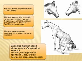 Нестача йоду в раціоні викликає
зобну хворобу.
Нестача заліза й міді — анемію
та порушення обміну речовин.
Зокрема у лошат затримується
ріст, уражаються суглоби й
тканини вінчика копита.
Нестача калію викликає
затримку росту лошат, погіршує
їх апетит.
За нестачі магнію у коней
підвищується збуджуваність
нервової
системи, спостерігається
тремтіння м’язів, атаксія,
порушення серцевої діяльності.
 