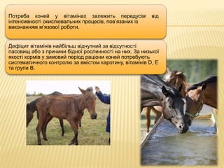 Потреба коней у вітамінах залежить передусім від
інтенсивності окислювальних процесів, пов’язаних із
виконанням м’язової роботи.
Дефіцит вітамінів найбільш відчутний за відсутності
пасовищ або з причини бідної рослинності на них. За низької
якості кормів у зимовий період раціони коней потребують
систематичного контролю за вмістом каротину, вітамінів D, Е
та групи В.
 