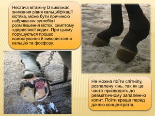 Нестача вітаміну D викликає
зниження рівня кальциїфікації
кістяка, може бути причиною
набрякання суглобів і
розм’якшення кісток, симптому
«дерев’яної ходи». При цьому
порушується процес
всмоктування й використання
кальцію та фосфору.
Не можна поїти спітнілу,
розпалену кінь, так як це
часто призводить до
ревматичному запаленню
копит. Поїти краще перед
дачею концентратів.
 