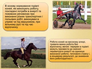 В основу нормування годівлі
коней, які виконують роботу,
покладені потреби в енергії та
поживних речовинах при
виконанні різних транспортних і
польових робіт, виконувані в
упряжі чи під вершником, при
вільному русі та під час
відпочинку.
Робота коней на високому алюрі,
тривала важка робота без
відпочинку, великі перерви в годівлі
можуть призвести до значної
перевитрати енергії на одиницю
виконаної роботи, теплового стресу і,
в кінцевому результаті, до зниження
його роботоздатності.
 