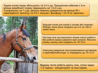 Худим коням норму збільшують на 3-4 к.од. Працюючим кобилам з 3-го
місяця жеребності норму підвищують на 1,5-2 к.од.
З розрахунку на 1 к.од. раціону повинно доводиться не менше 80 г
перетравного протеїну, по 4-5 г кальцію і фосфору і 10-15 мг каротину.
Відразу після роботи дають сіно, потім через
1-2 години - концентрати та інші корми.
Кращим сіном для коней є лугове або злаково-
бобове, якого вони поїдають до 4 кг на 100 кг
живої маси.
Частина сіна при виконанні кіньми легкої роботи і
без роботи можна замінити ярої соломи. Якісного
сінажу, силосу коні поїдають по 10-15 кг.
Хорошим джерелом легкозасвоюваних вуглеводів
є коренебульбоплоди, їх згодовують до 10-12 кг.
 