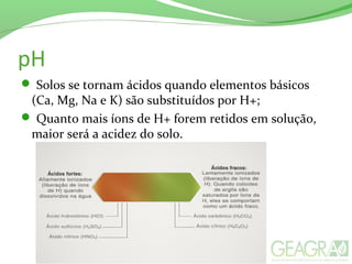 pH
 Solos se tornam ácidos quando elementos básicos
(Ca, Mg, Na e K) são substituídos por H+;
 Quanto mais íons de H+ forem retidos em solução,
maior será a acidez do solo.
 