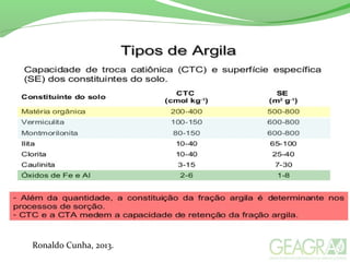 Ronaldo Cunha, 2013.
 