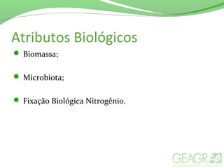 Atributos Biológicos
 Biomassa;
 Microbiota;
 Fixação Biológica Nitrogênio.
 