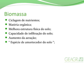 Biomassa
 Ciclagem de nutrientes;
 Matéria orgânica;
 Melhora estrutura física do solo;
 Capacidade de infiltração do solo;
 Aumento da aeração;
 “ Espécie de amortecedor do solo “;
 