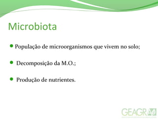 Microbiota
População de microorganismos que vivem no solo;
 Decomposição da M.O.;
 Produção de nutrientes.
 