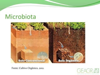 Microbiota
Fonte: Cultivo Orgânico, 2012.
 