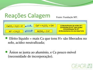 Reações Calagem Fonte: Fundação MT.
 Efeito líquido = mais Ca que íons H+ são liberados no
solo, acidez neutralizada;
 Ânion se junta ao alumínio, e Ca pouco móvel
(necessidade de incorporação).
 