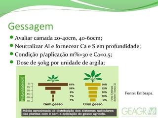Gessagem
Avaliar camada 20-40cm, 40-60cm;
Neutralizar Al e fornecear Ca e S em profundidade;
Condição p/aplicação m%>30 e Ca<0,5;
 Dose de 50kg por unidade de argila;
Fonte: Embrapa.
 