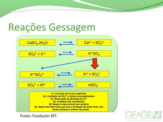 Reações Gessagem
Fonte: Fundação MT.
 