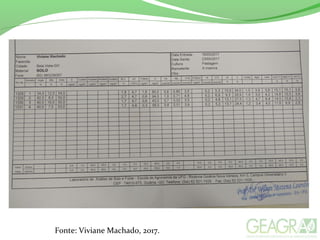 Fonte: Viviane Machado, 2017.
 