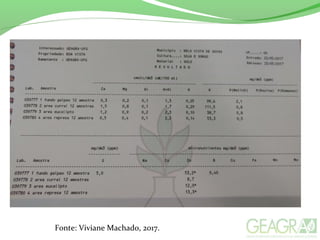 Fonte: Viviane Machado, 2017.
 