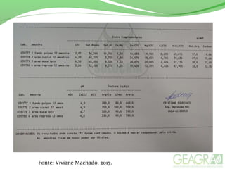 Fonte: Viviane Machado, 2017.
 