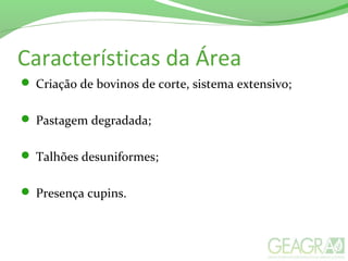 Características da Área
 Criação de bovinos de corte, sistema extensivo;
 Pastagem degradada;
 Talhões desuniformes;
 Presença cupins.
 