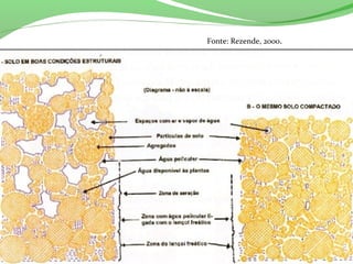Fonte: Rezende, 2000.
 
