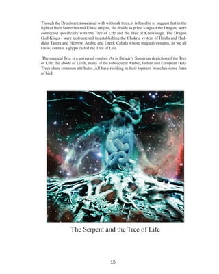 Though the Druids are associated with with oak trees, it is feasible to suggest that in the
light of their Sumerian and Ubaid origins, the druids as priest kings of the Dragon, were
connected specifically with the Tree of Life and the Tree of Knowledge. The Dragon
God-Kings - were instrumental in establishing the Chakric system of Hindu and Buddhist Tantra and Hebrew, Arabic and Greek Cabala whose magical systems, as we all
know, contain a glyph called the Tree of Life.
The magical Tree is a universal symbol. As in the early Sumerian depiction of the Tree
of Life; the abode of Lilith, many of the subsequent Arabic, Indian and European Holy
Trees share common attributes. All have residing in their topmost branches some form
of bird.

The Serpent and the Tree of Life

15

 