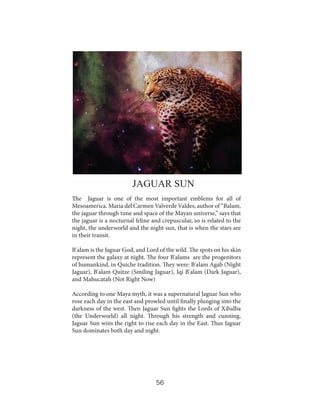 JAGUAR SUN
The Jaguar is one of the most important emblems for all of
Mesoamerica. Maria del Carmen Valverde Valdes, author of “Balam,
the jaguar through time and space of the Mayan universe,” says that
the jaguar is a nocturnal feline and crepuscular, so is related to the
night, the underworld and the night sun, that is when the stars are
in their transit.
B'alam is the Jaguar God, and Lord of the wild. The spots on his skin
represent the galaxy at night. The four B'alams are the progenitors
of humankind, in Quiche tradition. They were: B'alam Agab (Night
Jaguar), B'alam Quitze (Smiling Jaguar), Iqi B'alam (Dark Jaguar),
and Mahucatah (Not Right Now)
According to one Maya myth, it was a supernatural Jaguar Sun who
rose each day in the east and prowled until finally plunging into the
darkness of the west. Then Jaguar Sun fights the Lords of Xibalba
(the Underworld) all night. Through his strength and cunning,
Jaguar Sun wins the right to rise each day in the East. Thus Jaguar
Sun dominates both day and night.

56

 