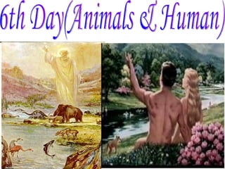 6th Day(Animals & Human) 