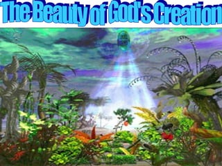 The Beauty of God's Creation 