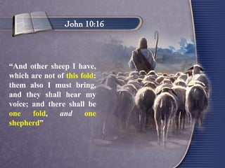“ And other sheep I have, which are not of  this fold : them also I must bring, and they shall hear my voice; and there shall be  one fold ,  and   one shepherd ” John 10:16 