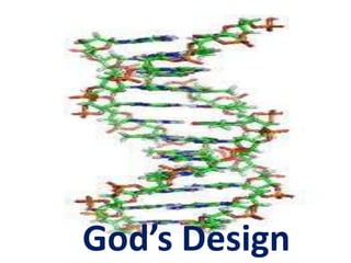 God’s Design
 
