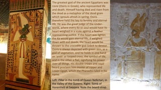 The greatest god of the ancient Egyptians was
Usire (Osiris in Greek), who represented life
and death. Himself having died and risen from
the dead as a metaphor of the dead grain
which sprouts afresh in spring, Osiris
therefore held the key to fertility and eternal
life. He was the great judge of the Under-
world, where every Ka or soul would have its
heart weighed in a scale against a feather
representing justice. If the heart was lighter,
the Ka would gain eternal life; if weighed
down with evil deeds, the heart would be
thrown to the crocodile god Sobek to devour.
Osiris is always depicted with green skin, as a
god of vegetation, and he holds in one hand
an 'ankh' or looped cross, the symbol of life,
and in the other a flail, signifying his power
over all things. His double crown and royal
beard proclaim him master of Upper and
Lower Egypt, which the Pharaohs ruled in his
name.
Left: Pillar in the tomb of Queen Nefertari, in
the Valley of the Queens. Right: Tomb of
Horemheb at Saqqara. Note the beard-strap.
 