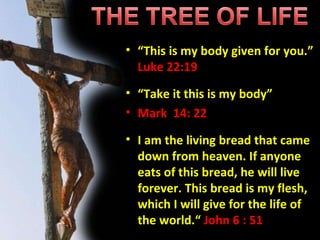 “ This is my body given for you.”  Luke 22:19 “ Take it this is my body” Mark  14: 22 I am the living bread that came down from heaven. If anyone eats of this bread, he will live forever. This bread is my flesh, which I will give for the life of the world.“  John 6 : 51 