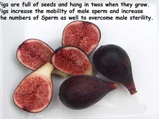 Figs are full of seeds and hang in twos when they grow.   Figs increase the mobility of male sperm and increase  the numbers of Sperm as well to overcome male sterility.  