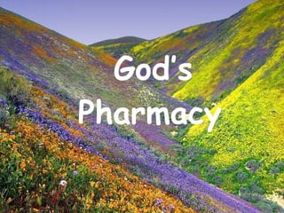God’s Pharmacy   