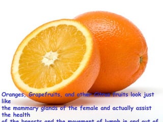 Oranges, Grapefruits, and other Citrus fruits look just like  the mammary glands of the female and actually assist the health  of the breasts and the movement of lymph in and out of the breasts.   