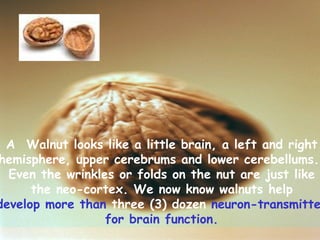 A  Walnut looks like a little brain, a left and right  hemisphere, upper cerebrums and lower cerebellums.   Even the wrinkles or folds on the nut are just like  the neo-cortex. We now know walnuts help  develop more than  three (3) dozen  neuron-transmitters for brain function.   