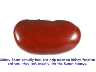 Kidney Beans actually heal and help maintain kidney function  and yes, they look exactly like the human kidneys.  