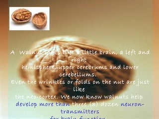 A  Walnut looks like a little brain, a left and right  hemisphere, upper cerebrums and lower cerebellums.   Even the wrinkles or folds on the nut are just like  the neo-cortex. We now know walnuts help  develop more than  three (3) dozen  neuron-transmitters for brain function.   