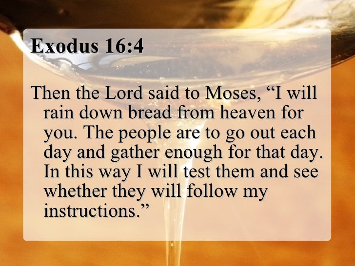 god-s-way-of-meeting-our-needs