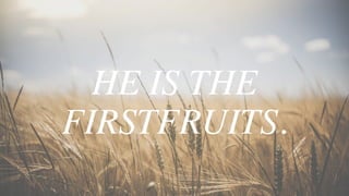 HE IS THE
FIRSTFRUITS.
 