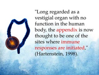 "Long regarded as a
vestigial organ with no
function in the human
body, the appendix is now
thought to be one of the
sites where immune
responses are initiated,"
(Hartenstein, 1998).
 