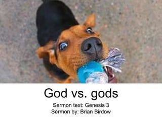 God vs. gods
Sermon text: Genesis 3
Sermon by: Brian Birdow
 
