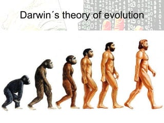 Darwin´s theory of evolution