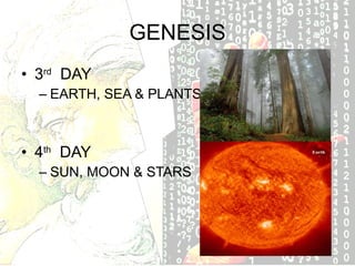 GENESIS 3 rd DAY EARTH, SEA & PLANTS 4 th DAY SUN, MOON & STARS