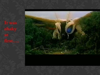 It was
shaky
at
first….
 