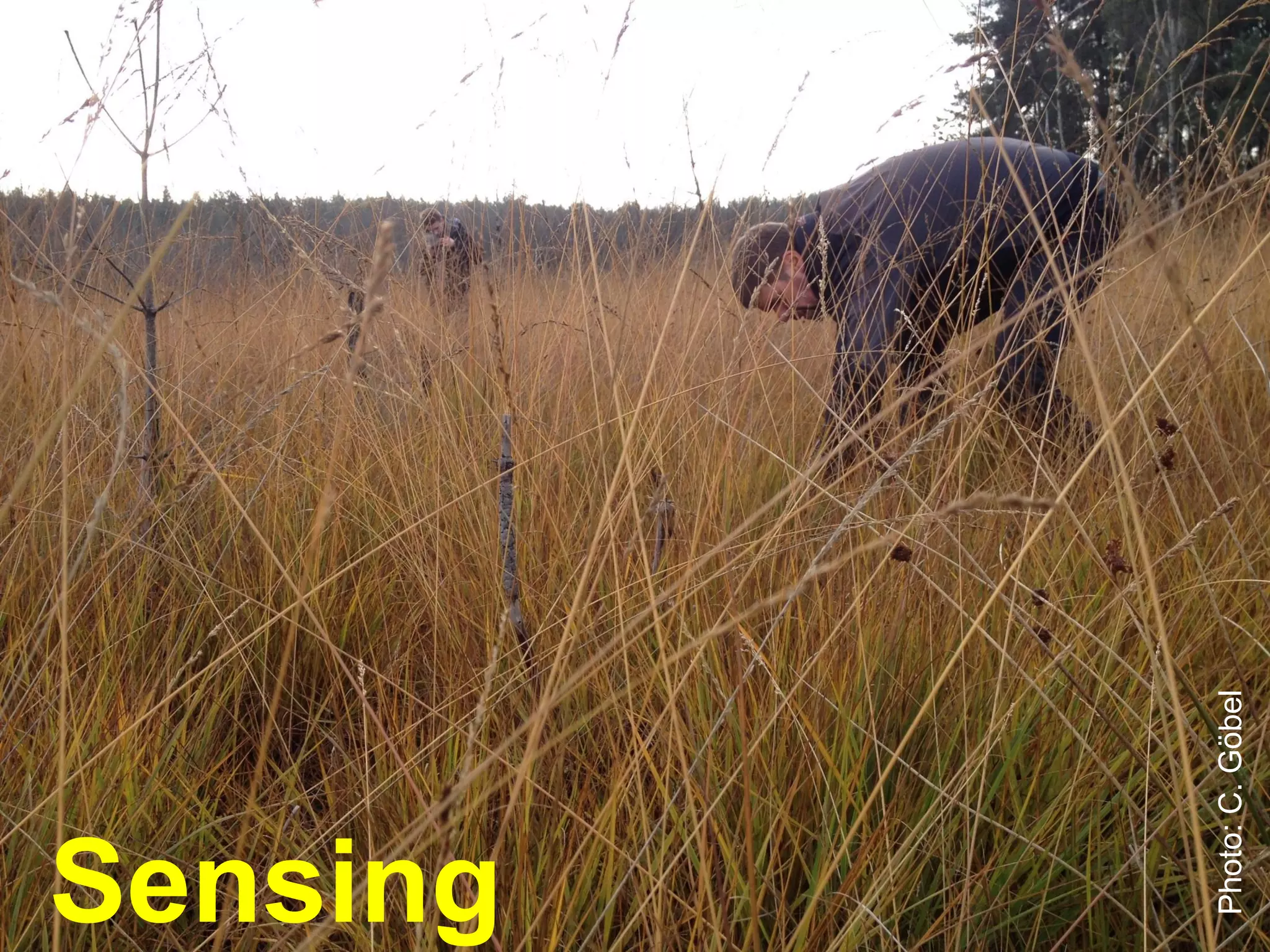 6
Photo: F. Heigl, BOKU Vienna
Photo:C.Göbel
Sensing
 