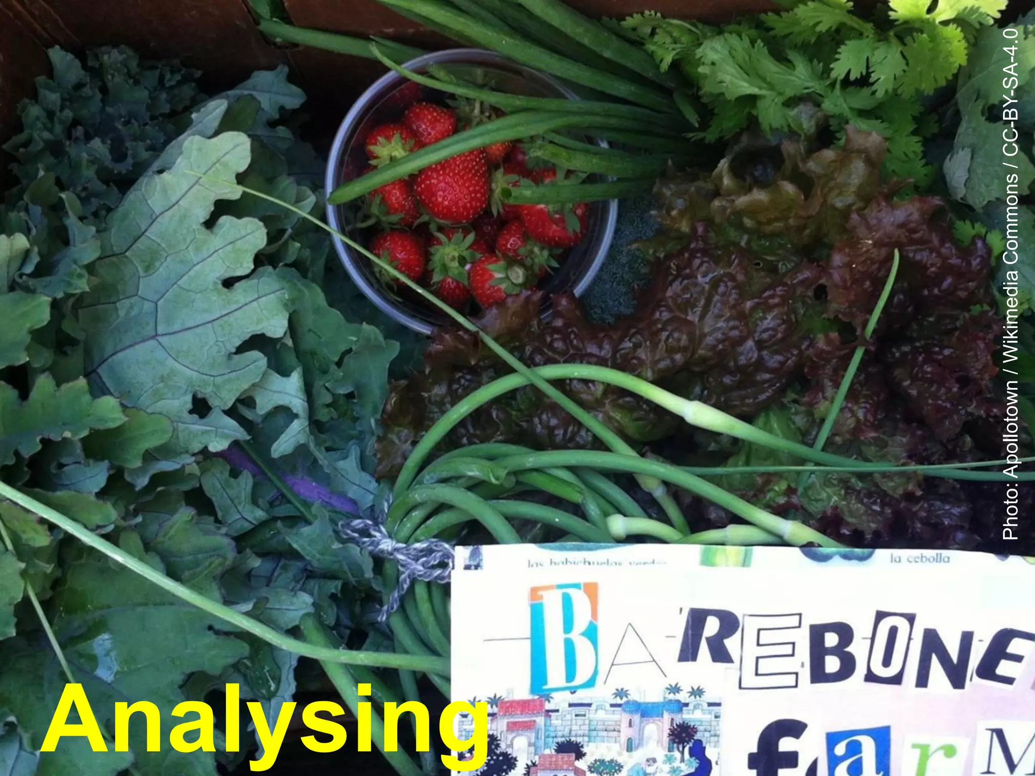 Photo:Apollotown/WikimediaCommons/CC-BY-SA-4.0
Analysing
 