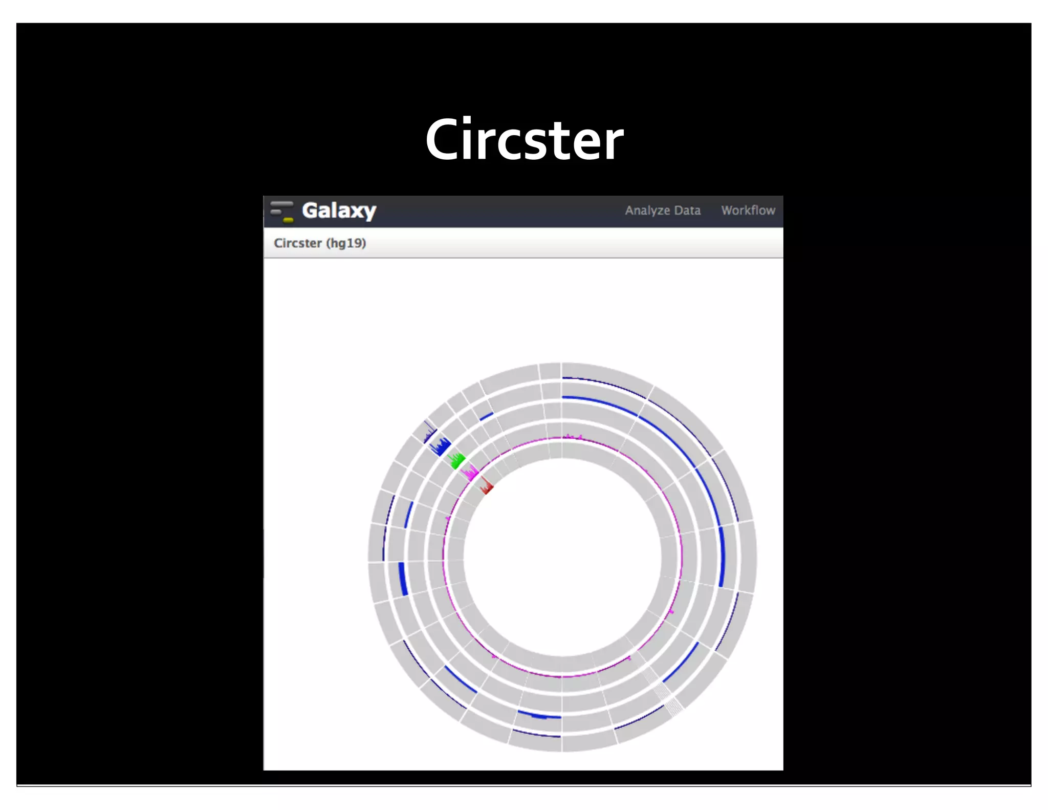 Circster




   11
 