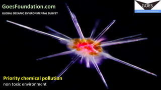 1
Priority chemical pollution
non toxic environment
GoesFoundation.com
GLOBAL OCEANIC ENVIRONMENTAL SURVEY
 