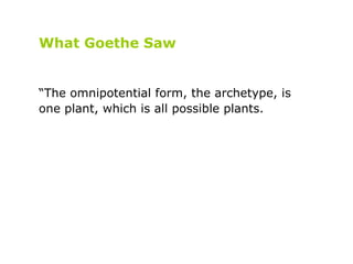 What Goethe Saw “ The omnipotential form, the archetype, is one plant, which is all possible plants.   