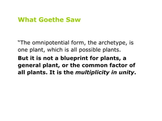 What Goethe Saw “ The omnipotential form, the archetype, is one plant, which is all possible plants.   But it is not a blu...
